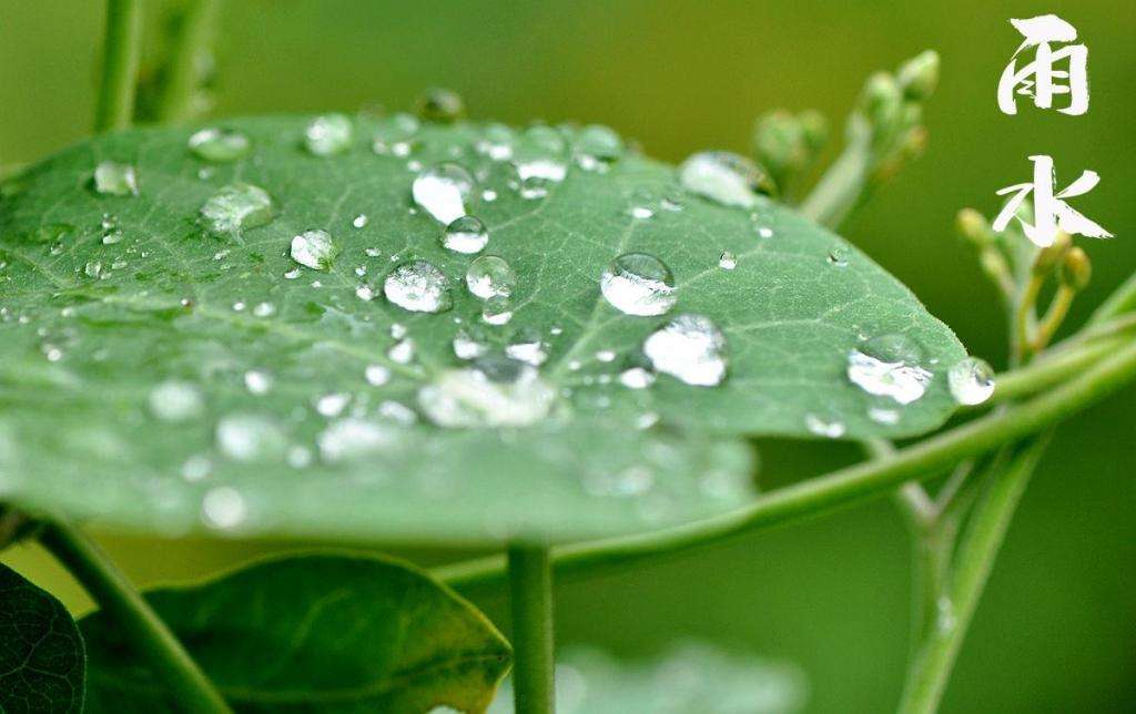 雨水潤萬物，兼顧沙與泥！